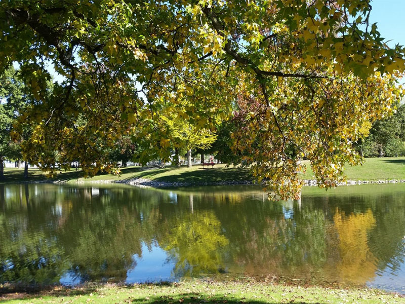 Image for Photo of Horner Park