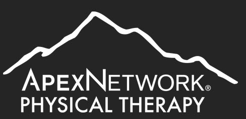 Apex Network Physical Therapy  Logo